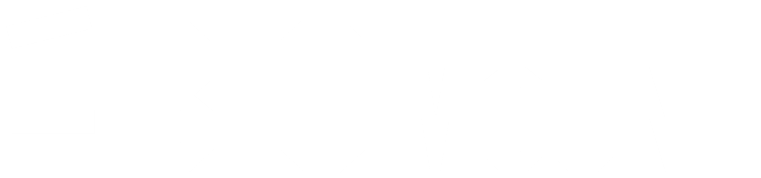 BIGmount-Shop